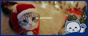 Cat Accessories