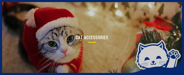 Cat Accessories