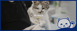 Cat Health