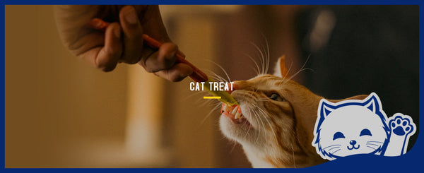 Cat Treat