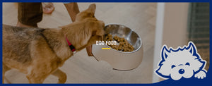 Dog Food