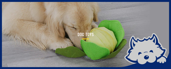 DogToys