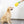 Load image into Gallery viewer, Dog Snuffle Mat Sniffing Training Pad Puzzle Voice Plush Nosework Puppy Pineapple Toy AU
